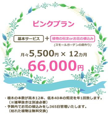 ピンクプラン 　66000円