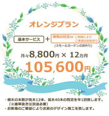 オレンジプラン 105600円